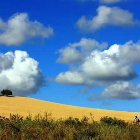 Hotel Hipotels Flamenco Conil Conil De La Frontera