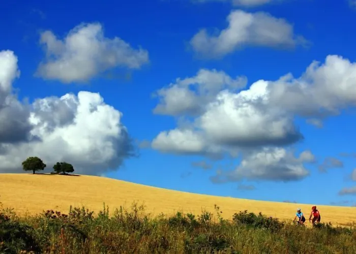 Hotel Hipotels Flamenco Conil Conil De La Frontera